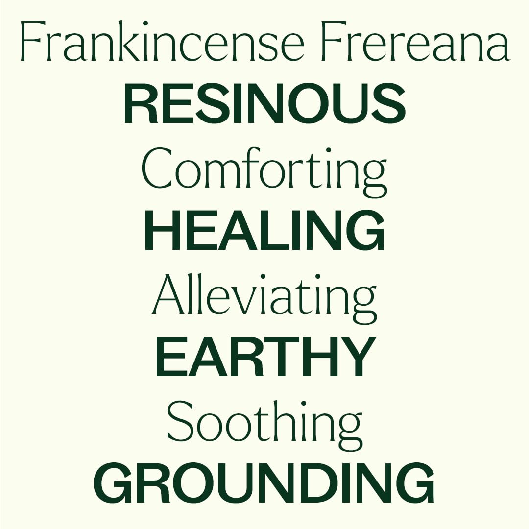 Plant Therapy Organic Frankincense Frereana Essential Oil 100% Pure, USDA Certified Organic, Undiluted, Natural Aromatherapy, Therapeutic Grade 10 mL (1/3 oz)
