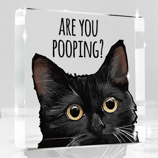 Are You Pooping Funny Sign，Black Cat Decor, Cat Bathroom Acrylic Decor，Home Decor Bathroom Creative Gift Cat Gifts for Women Cat Lovers，Funny Decorate Retro for Home Toilet