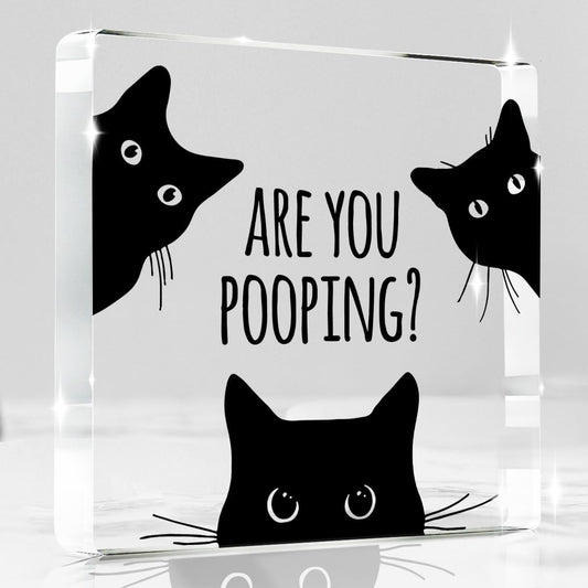 Are You Pooping Funny Sign，Black Cat Decor, Cat Bathroom Acrylic Decor，Home Decor Bathroom Creative Gift For Women Men，Funny Decorate Retro for Home Toilet 4x4 Inches