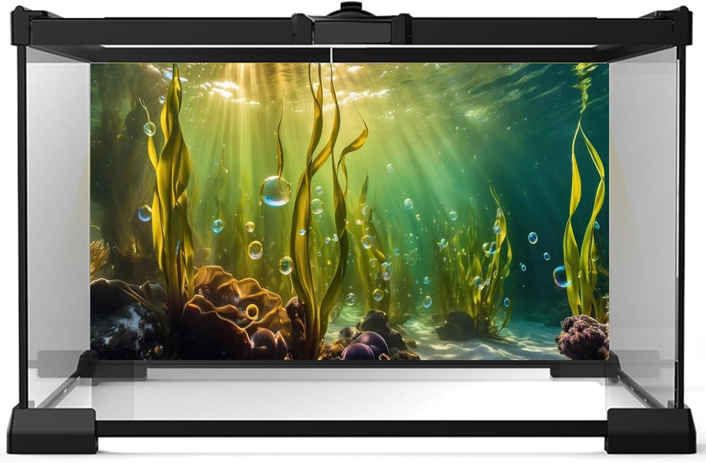 Aquarium Background Underwater Beautiful Coral Reef with Seaweed Bubbles Terrarium Backdrop Aquatic Plants Sunlight Rays Fish Tank Background Tank Aquarium Wallpaper Poster Decor Vinyl 24x16in