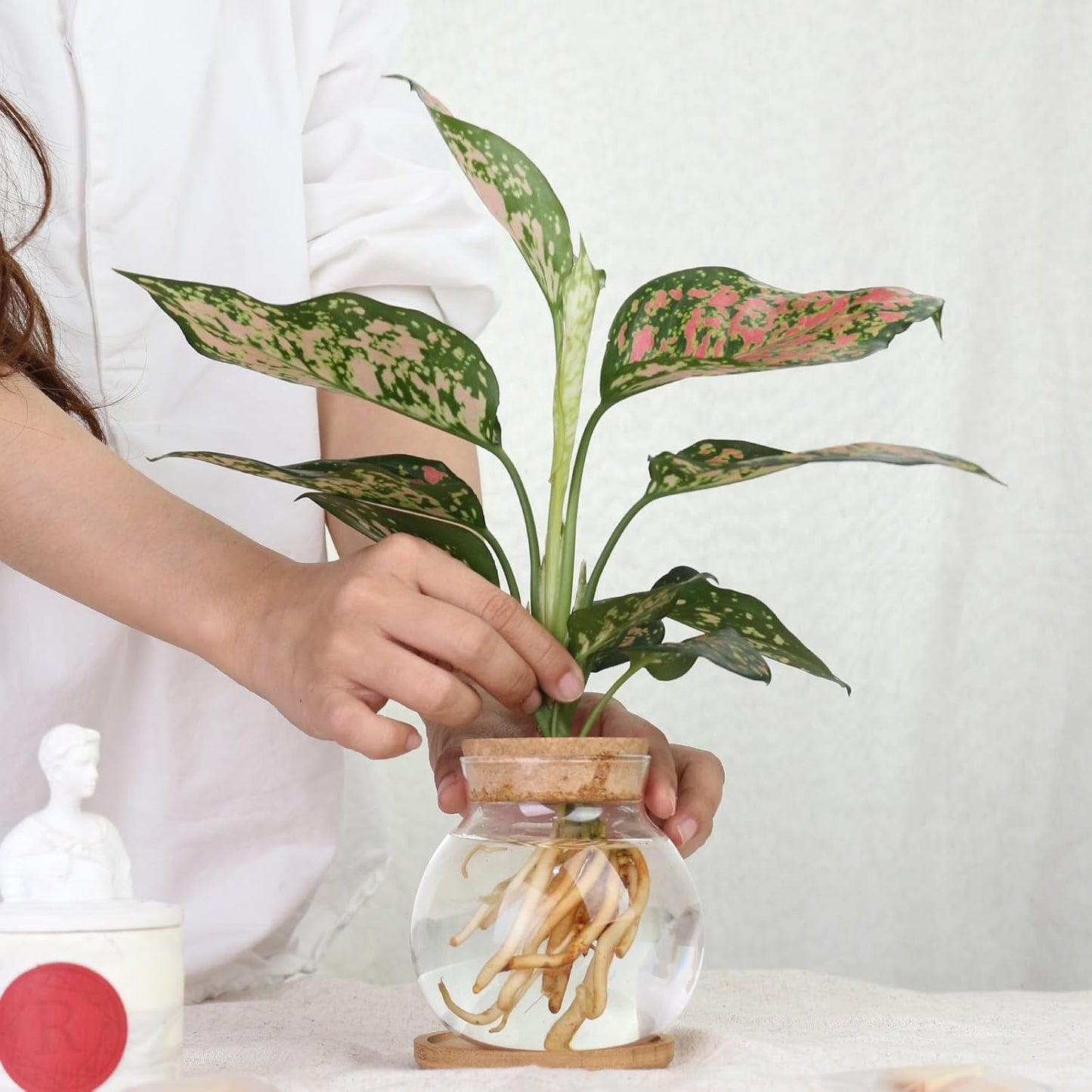 Plant Propagation Station,Hydroponic Glass Container Vase Jars, with Wooden Saucer for Desks, Houses, Garden Decorations, Home Kitchen Decorations and Gifts for Plant Lovers (2)