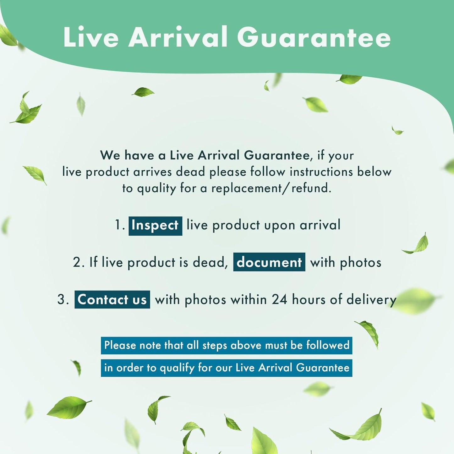 Anubias Live Aquarium Plants - Potted Freshwater Plant for Fish Tanks, Terrariums - Beginner Friendly Low Light (Nana Golden, 5 Pots)