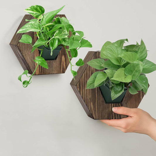 Hexagonal Wooden Wall Planter, Self Watering Living Vertical Planter Indoor, Wooden Frame Planter Wall Decoration Home Office,2pc Walnut