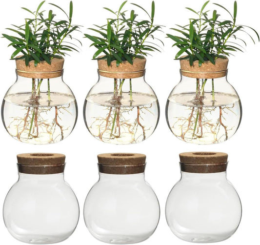 Plant Propagation Station,Hydroponic Terrarium Vase,Desktop Glass Planter Station,for Houses,Garden Decorations,ropagating Hydroponic Plants,Centerpiece Office,Home Garden Decor (6)