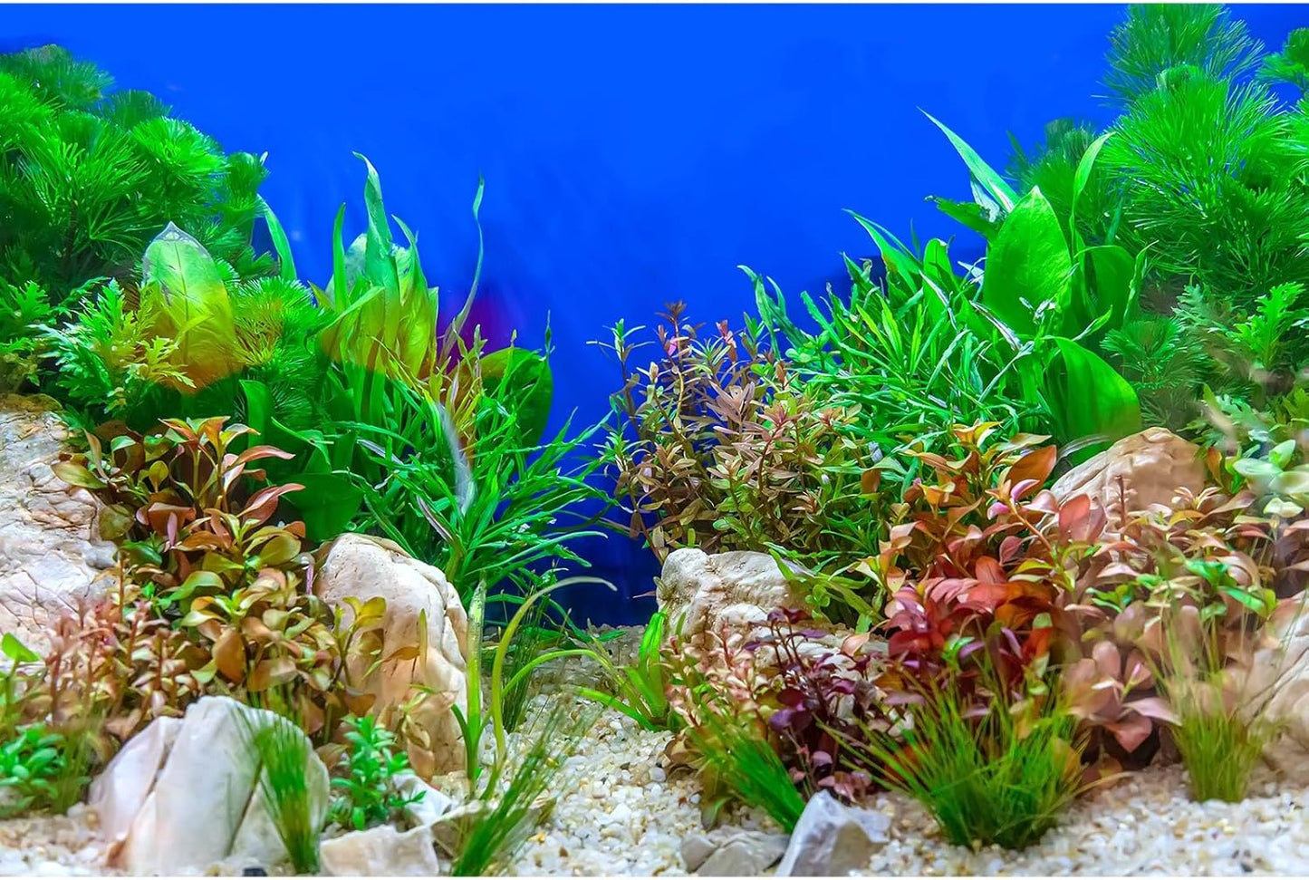 Aquarium Background Green Aquatic Plant Stone River Bed and Lake Fish Tank Background Decor Underwater Grass Leaves with Pebble Aquarium Backdrop Perfect Fish Tank Decors Vinyl 72x18in