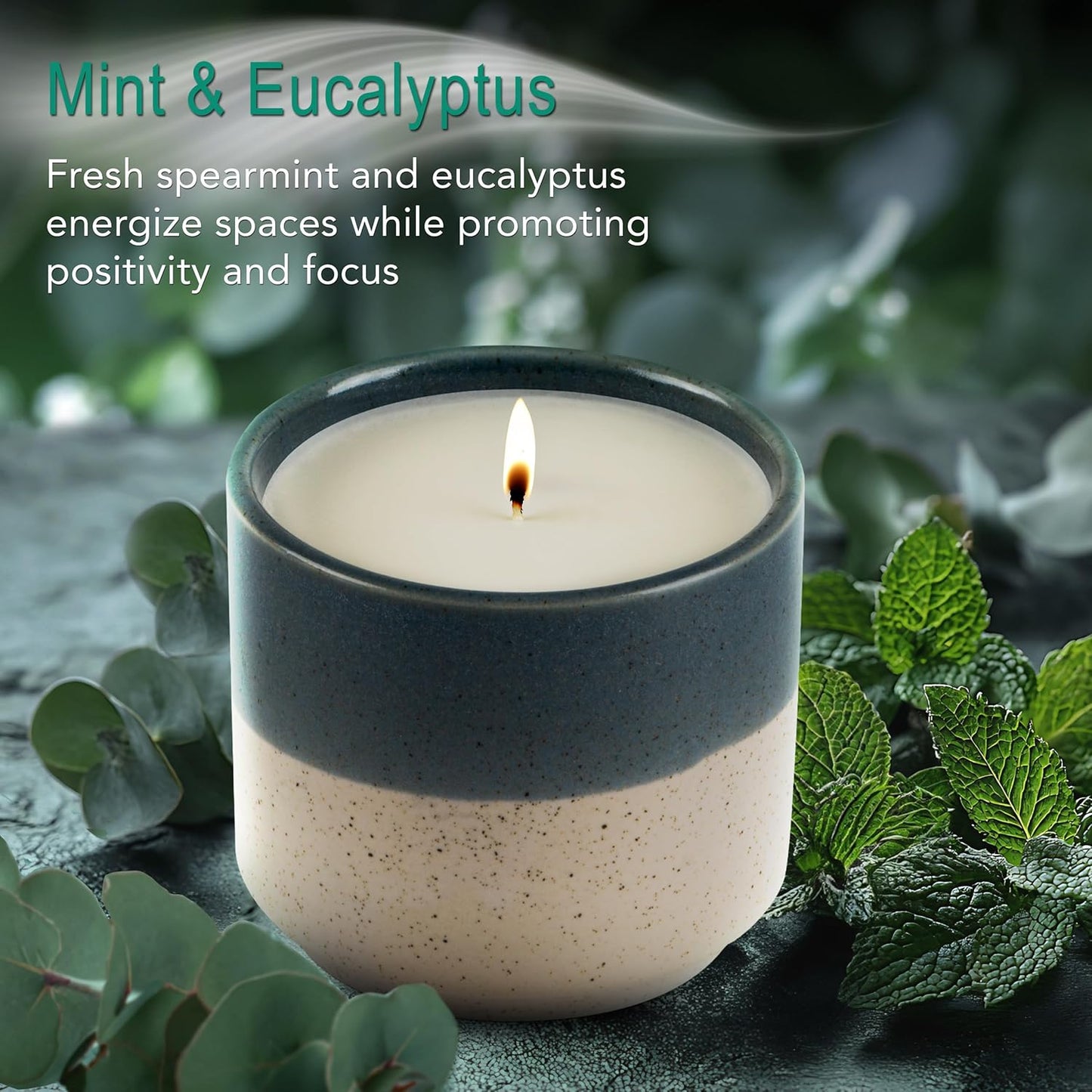 The Growing Candle, Mint & Eucalyptus Scented, 8.5oz Ceramic Pot, Aromatherapy Candles, 100% Soy, Willow