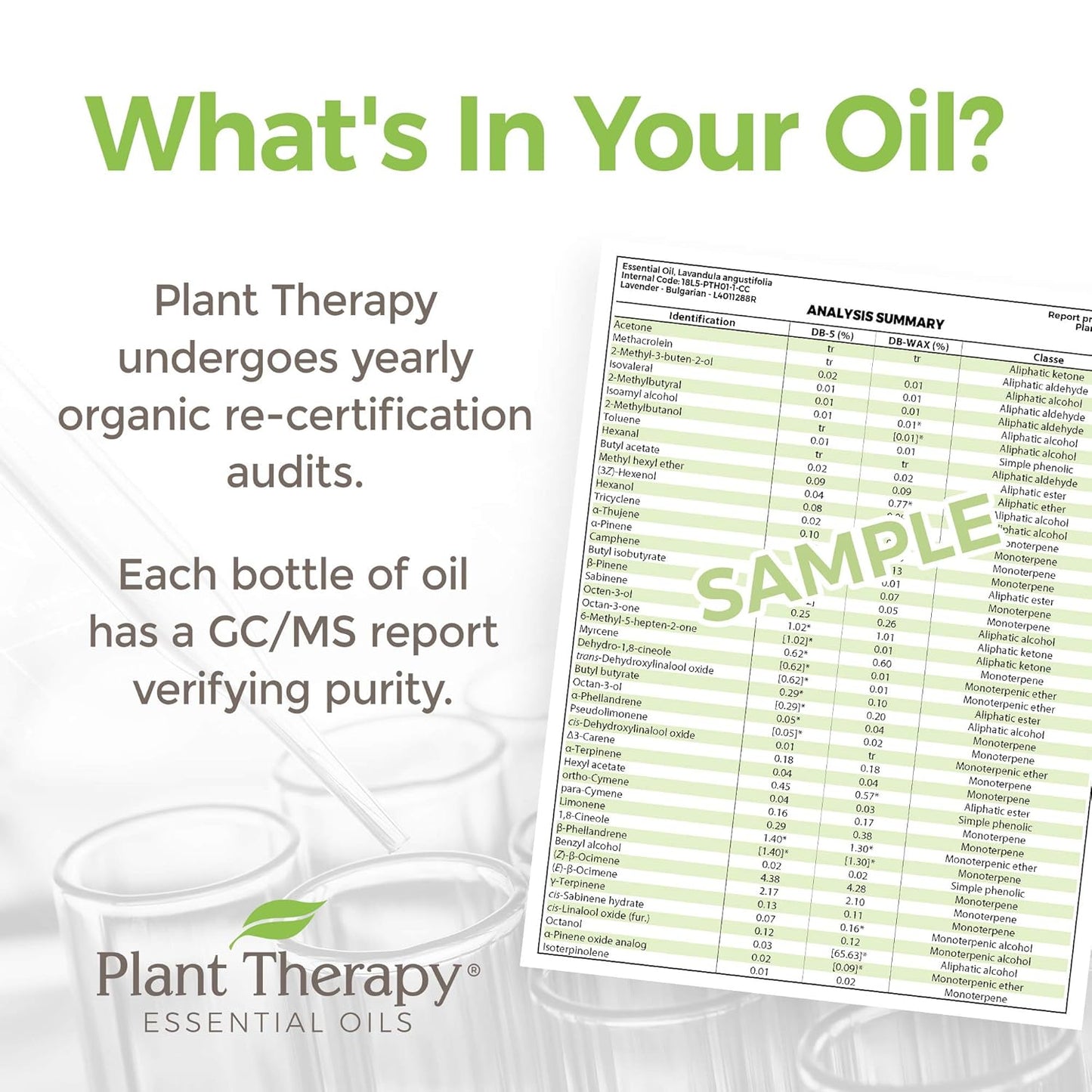 Plant Therapy KidSafe Organic Destroyer Essential Oil Blend 10 mL (1/3 oz) 100% Pure, Undiluted, Therapeutic Grade