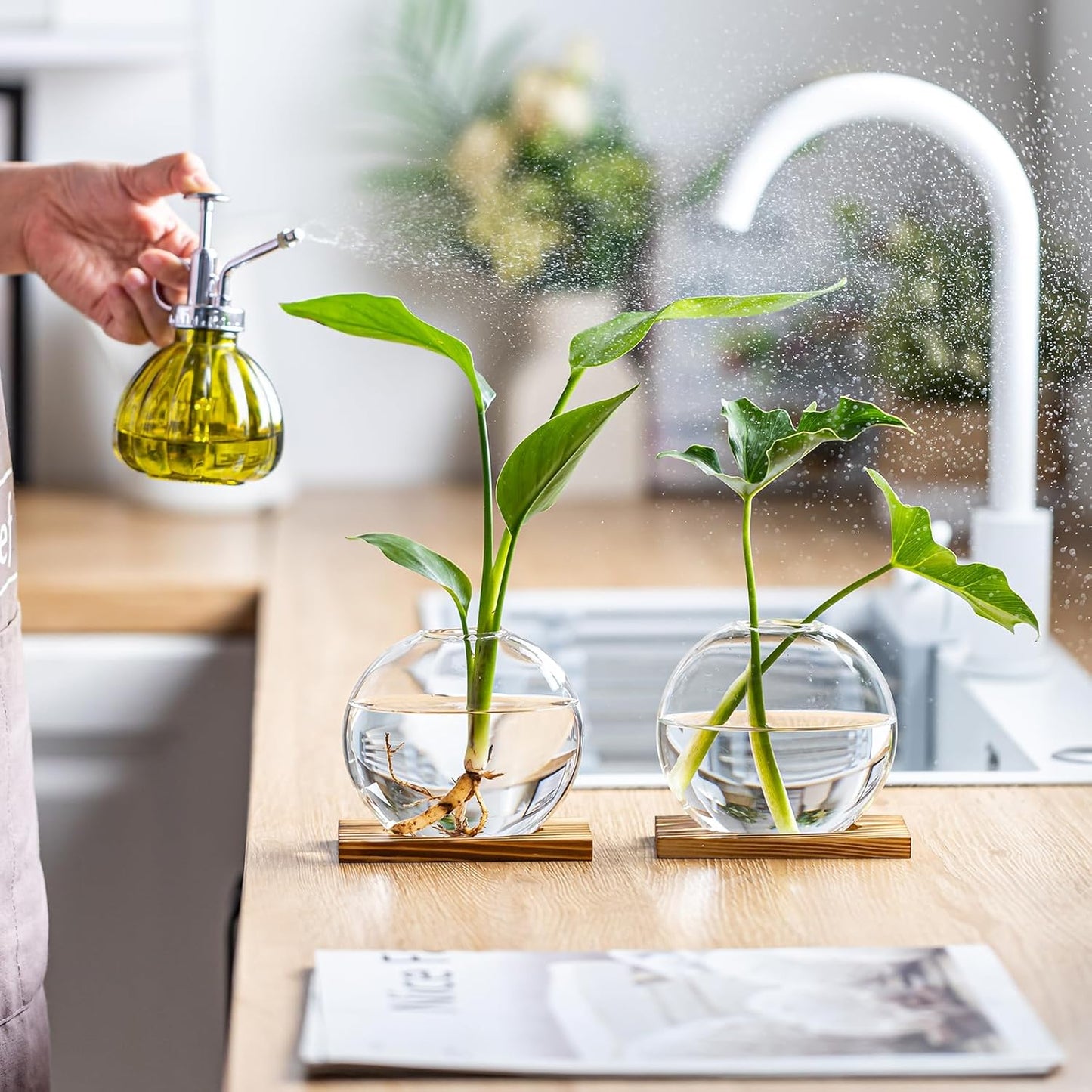 Glass Planter Propagation Station with Wooden Base - Clear Oblate Hydroponic Vase, Decorative Desktop Flower Vase for Home, Office, Windowsill - Gift for Plant Lovers (2)