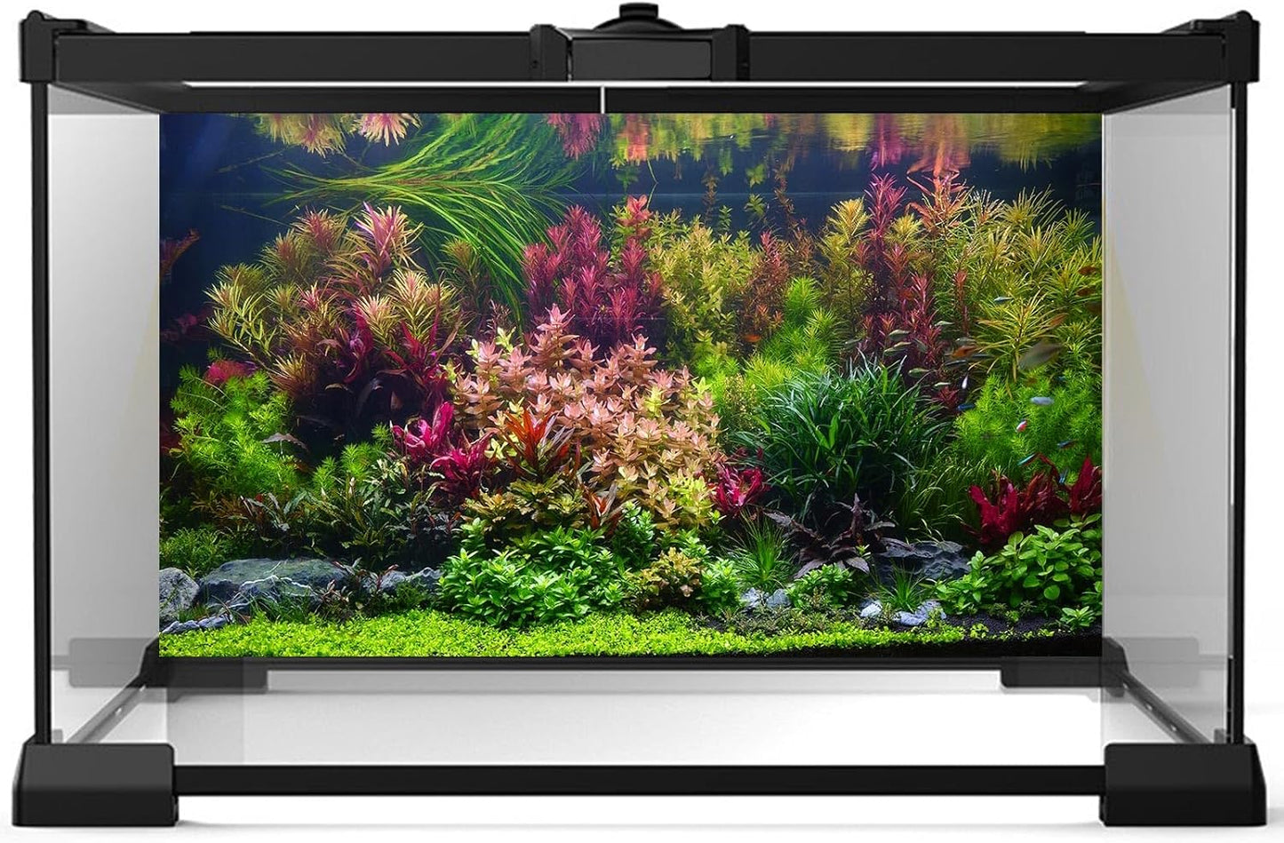 Aquarium Background Various Vivid Fresh Underwater Aquatic Plant Fish Tank Aquarium Backdrop Stone River Bed and Lake Fish Terrarium Background Decor Vinyl 36x24in