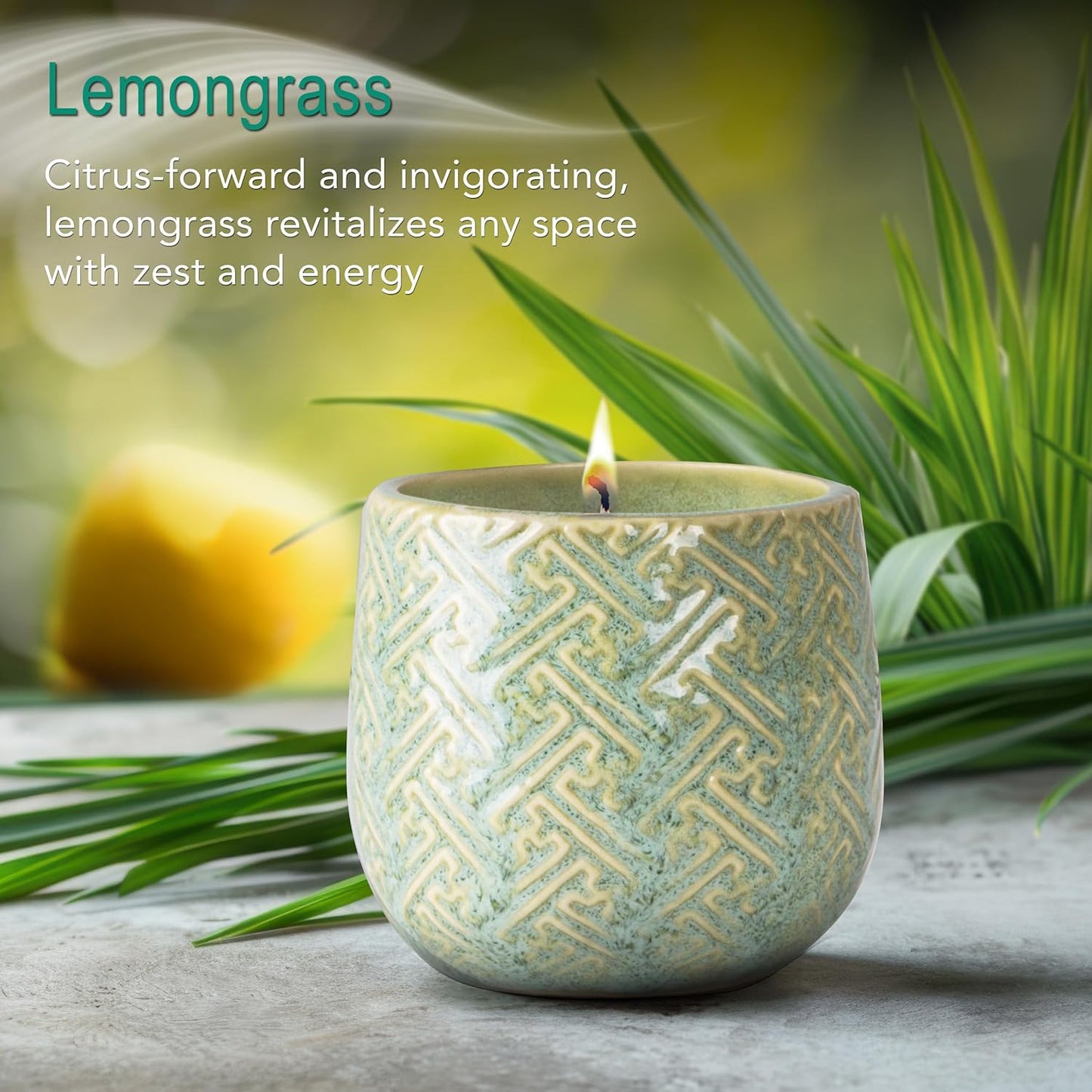 The Growing Candle, Lemongrass Scented, 10oz Ceramic Pot, Single Wick Aromatherapy Candles, 100% Soy for Women and Men, Ida