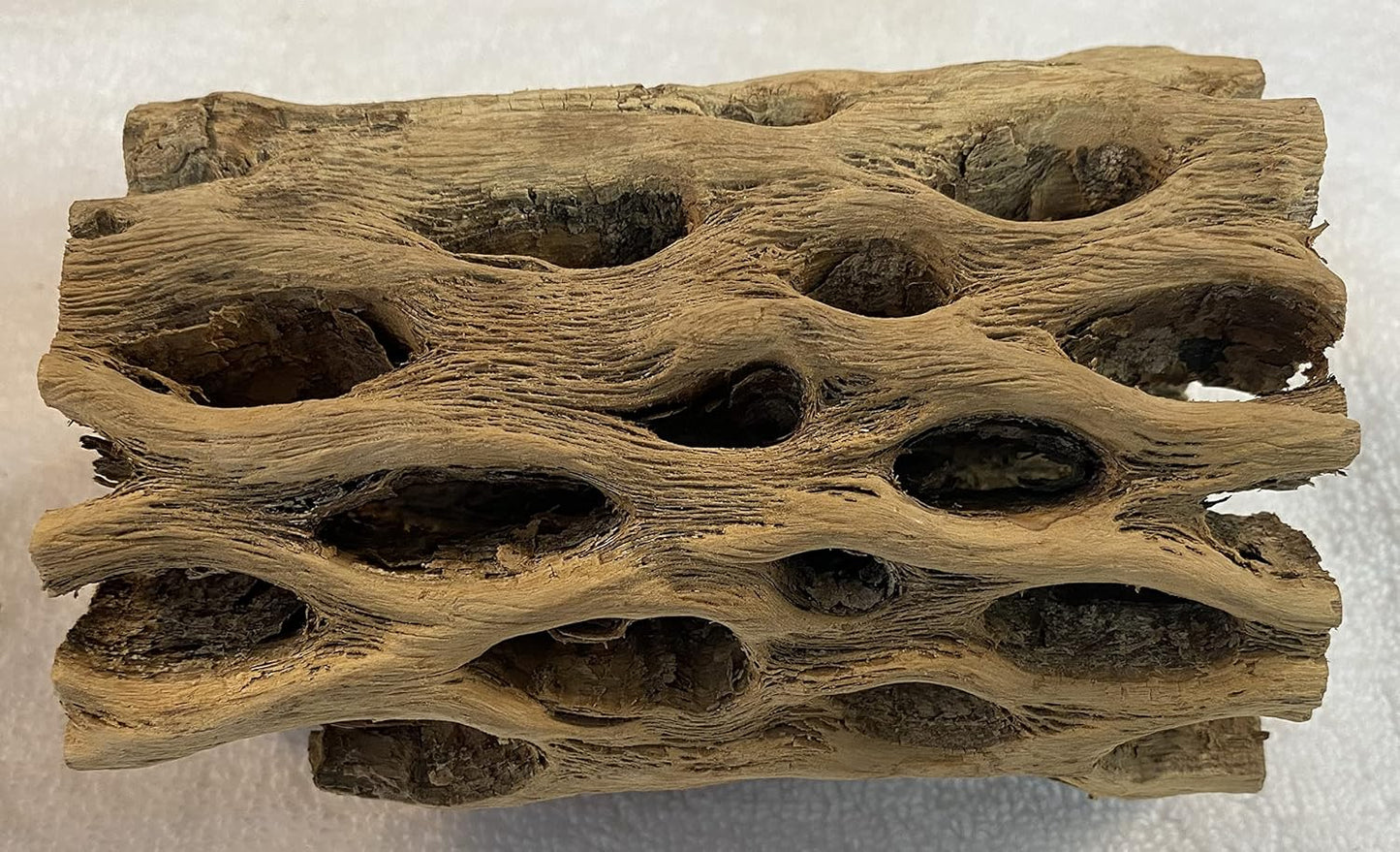 Awesome Aquatic 3 in Plus Thick XL Teddy Bear/Chain Fruit/Buckhorn/Staghorn Cholla Wood Hollow Tube Wood Cactus Skeleton Tubes 3” Plus Thick/Diameter (6 in x 3 in Plus Diameter)