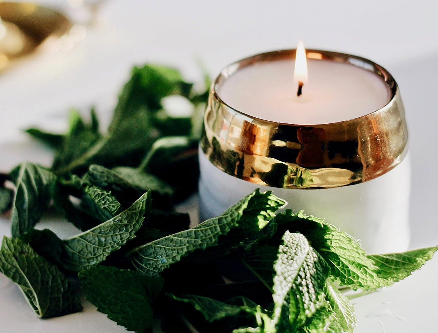 The Growing Candle, Lavender Scented, 10oz Ceramic Pot, Single Wick Aromatherapy Candles, 100% Soy for Women and Men, Clara